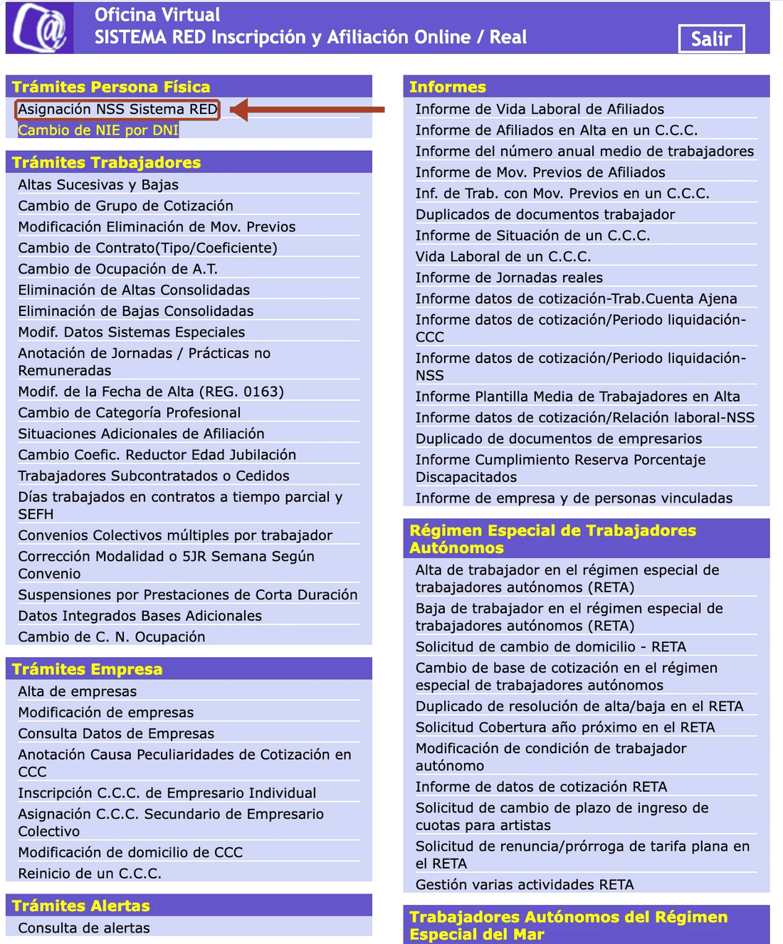 Asignación de NSS provisional — Sistema RED, paso 1 de 2