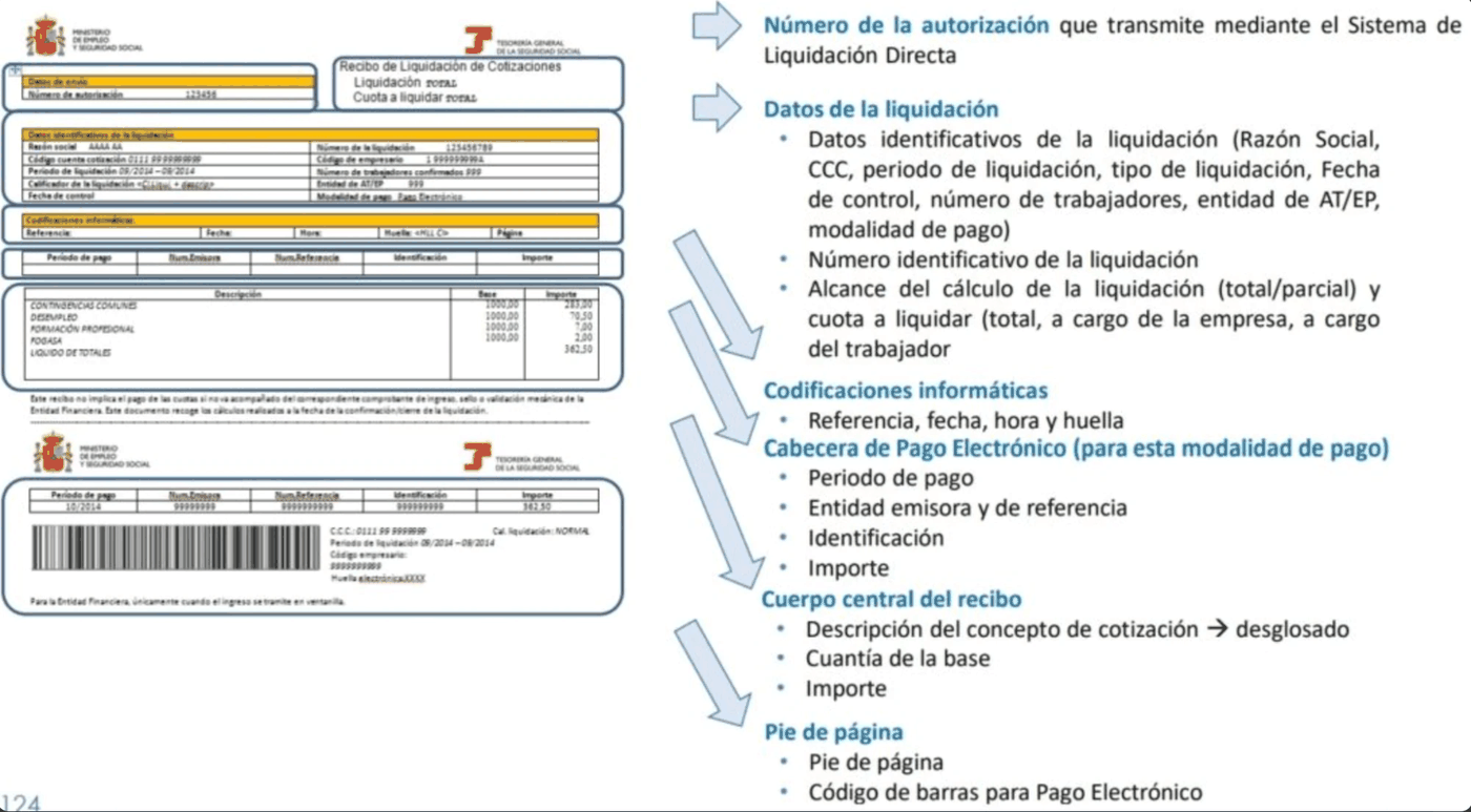 RLC y RNT — Sistema RED, paso 2 de 5
